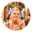 Nishtha C.